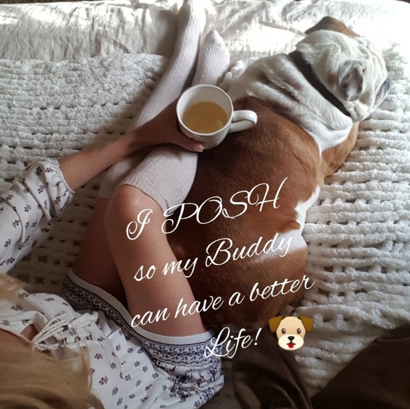 Have a Fur Baby..I WILL FOLLOW!!🐶💜🍃 - Picture 1 of 5